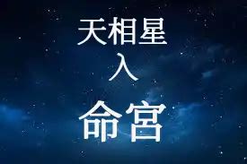 天相女氣質|天相星在命宮